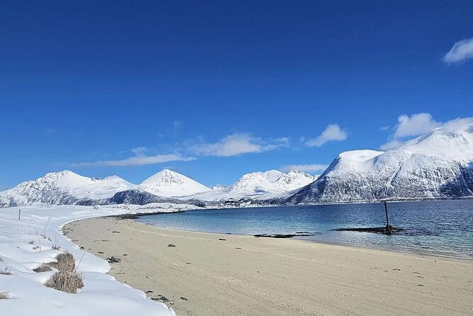 Tromso Excursion Artica Fjords and Sommaroy Islands with lunch - Price and value: why the $181.39 tag can make sense