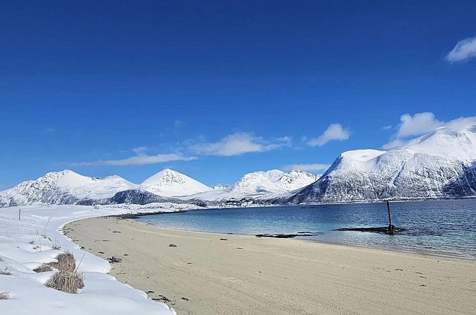 Tromso Excursion Artica Fjords and Sommaroy Islands with lunch - Guide and driver matter on fjord days