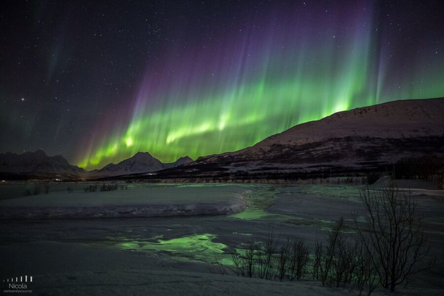 Tromsø: Expert Aurora Hunt - Thermal Gear, Food, Campfire - Value for $241: what you are actually buying
