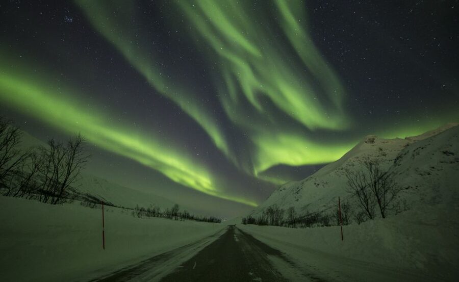Tromsø: Expert Aurora Hunt - Thermal Gear, Food, Campfire - Logistics you will care about on a cold night