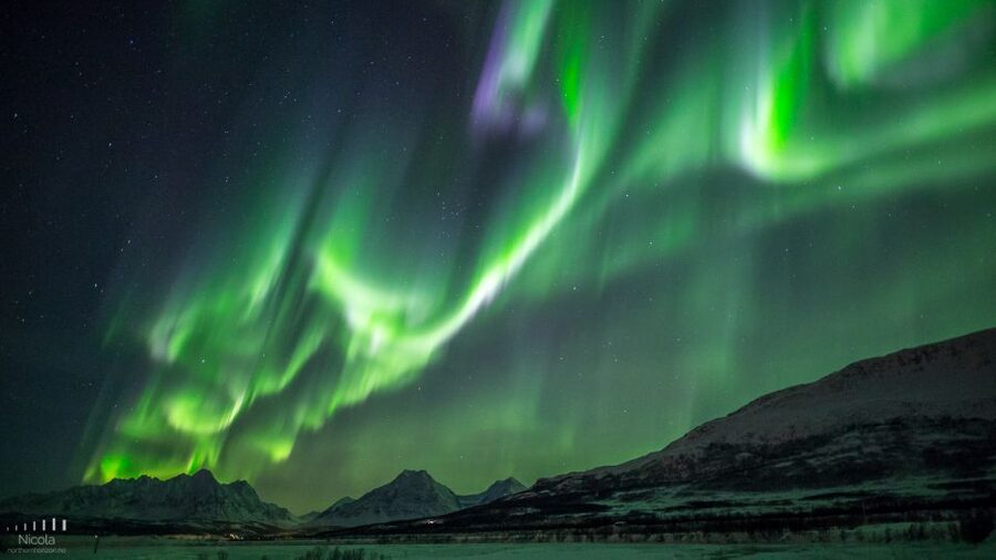 Tromsø: Expert Aurora Hunt - Thermal Gear, Food, Campfire - Forecast chasing and the microclimates around Tromsø