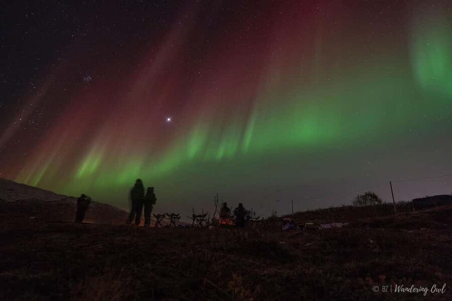 Tromsø: Express Aurora Hunt - Key things I’d bet on before you book