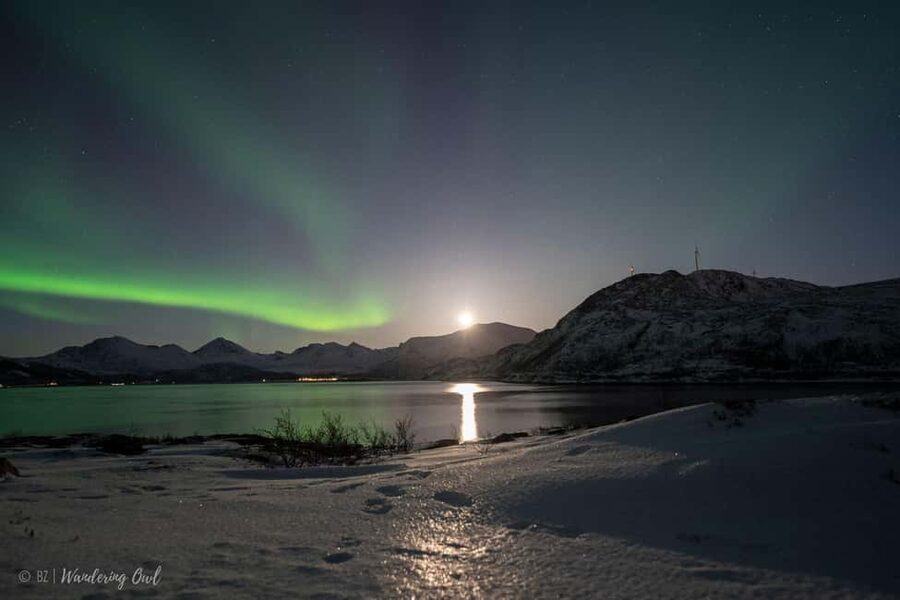Tromsø: Express Aurora Hunt - When you arrive, it is all about forecast checks and patient waiting
