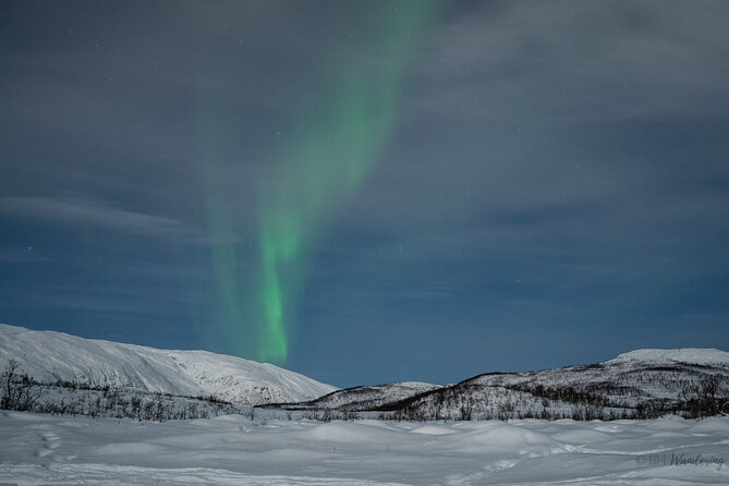Tromsø: Express Aurora Hunt with Wandering Owl - Drive time, seating, and the “reasonable hour” promise