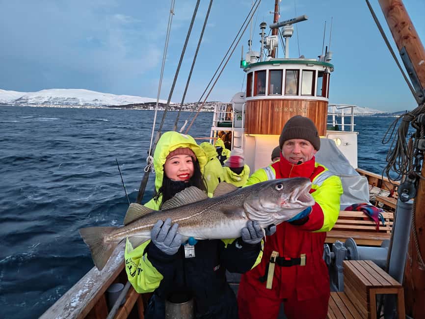 Tromsø: Fishing & Fjord Cruise - Key Highlights You Will Care About