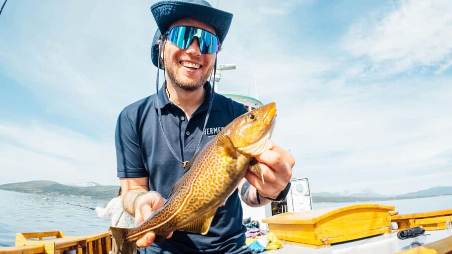 Tromsø: Fishing & Fjord Cruise - Who Should Book This Fjord Fishing Cruise?