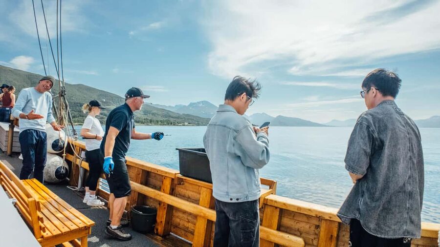 Tromsø: Fishing & Fjord Cruise - Price and Value: Is $198 Worth It?