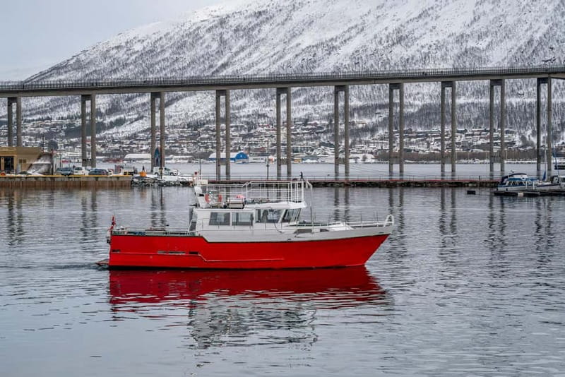 Tromsø: Fishing Sea Safari - Storgata 88 check-in, suit-up, then straight to the water
