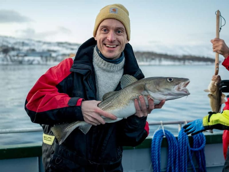 Tromsø: Fishing Sea Safari - Wildlife viewing done the right way