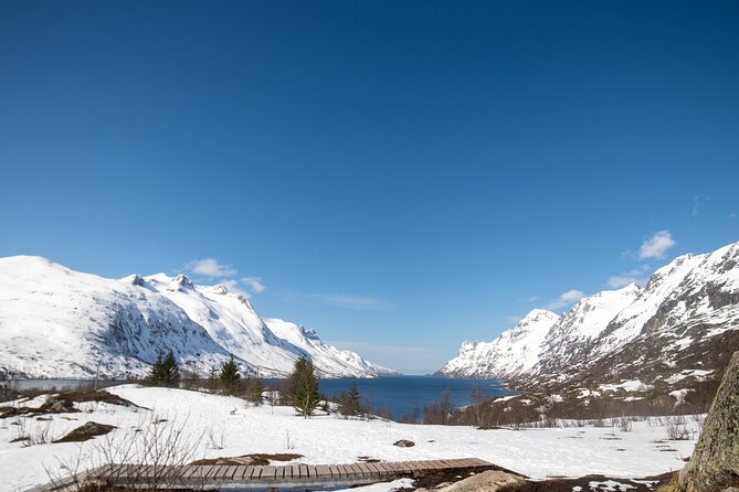 Tromsø: Fjord Adventure Tour with Wildlife and Lunch - Key Highlights You Should Know Before You Go