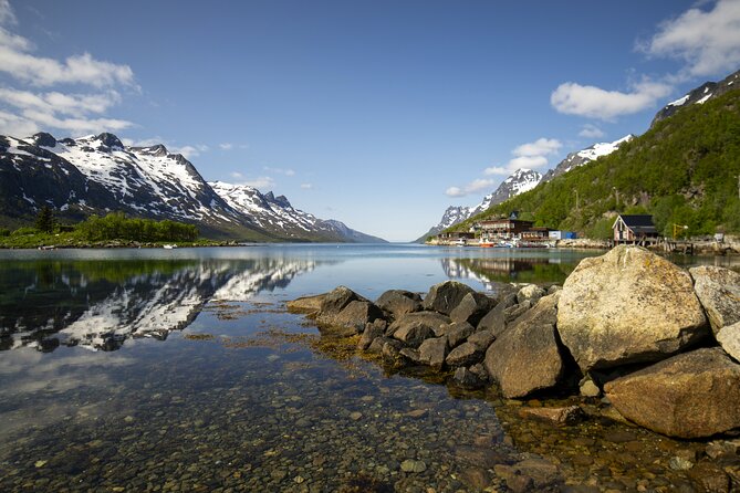 Tromsø: Fjord Adventure Tour with Wildlife and Lunch - Guides and the Camera Mindset: Why the Photo Coaching Lands