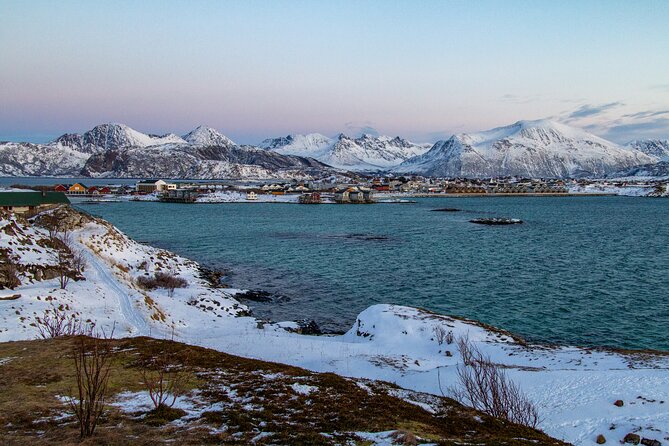 Tromsø: Fjord Adventure Tour with Wildlife and Lunch - The Seaside Lunch: More Than Just Food