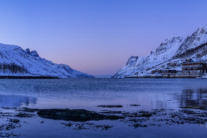 Tromsø: Fjord Adventure Tour with Wildlife and Lunch - Timing Reality: 6 Hours Can Feel Long, If You’re Not Ready