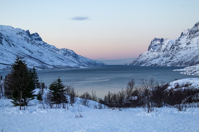 Tromsø: Fjord Adventure Tour with Wildlife and Lunch - Fjord Drive Details: Mountains, Frozen Water, and Photo Stop Rhythm