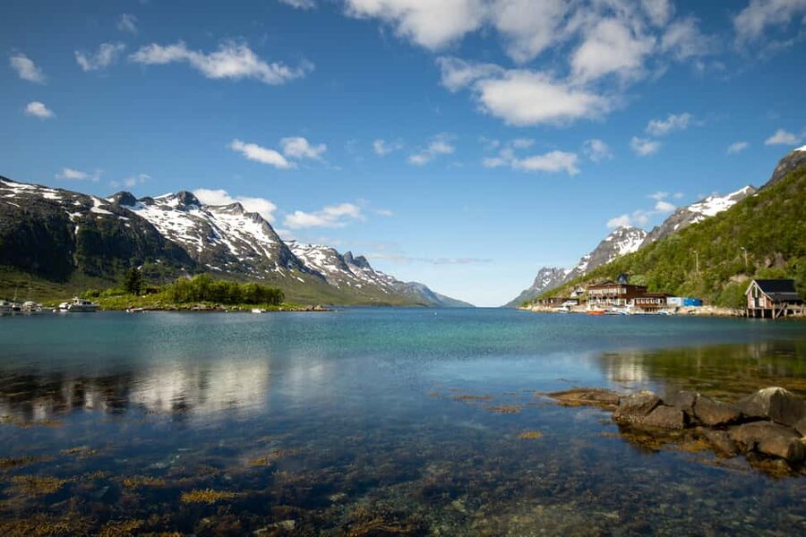 Tromsø: Fjord Adventure with Lunch and Photos - Arctic wildlife chances, and how to think about spotting animals