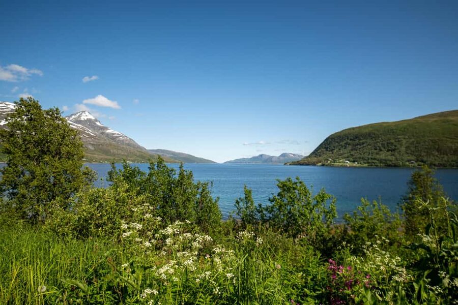 Tromsø: Fjord Adventure with Lunch and Photos - How to get the most from 6 hours without feeling rushed