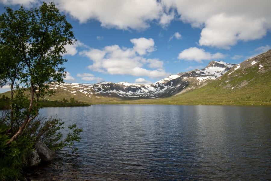 Tromsø: Fjord Adventure with Lunch and Photos - Getting set up: meeting point, timing, and what to wear