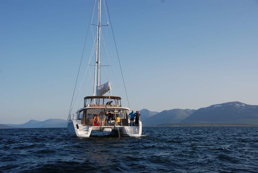 Tromsø: Fjord and Islands Luxury Catamaran Cruise - Price and value: what $208 gives you in Tromsø