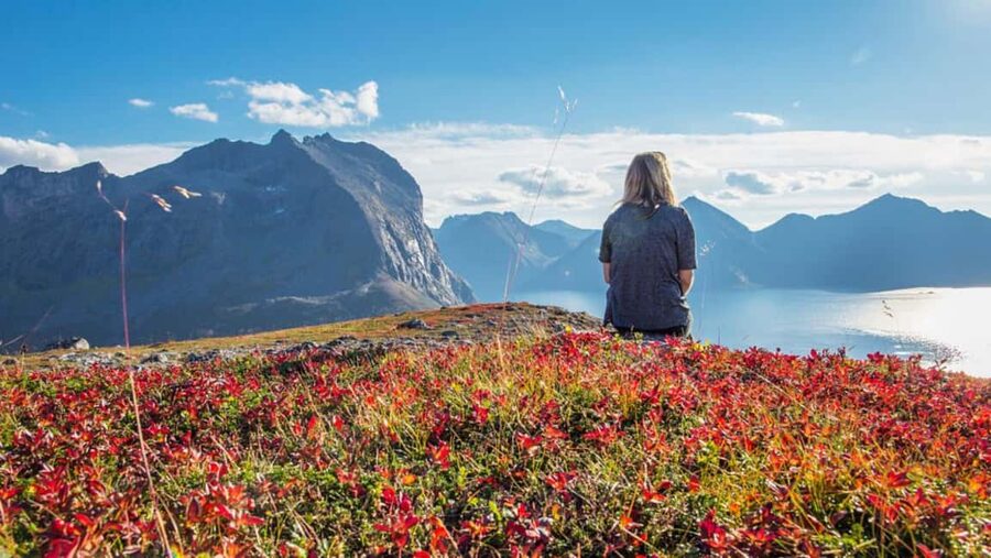 Tromso: Fjord Arctic Adventure Expedition - Fjords That Hit Different, With Tromso as Your Starting Point