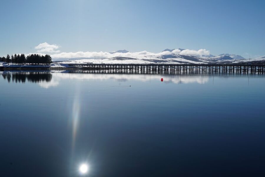 Tromsø: Fjord Cruise by Luxury Yacht - Key points before you go