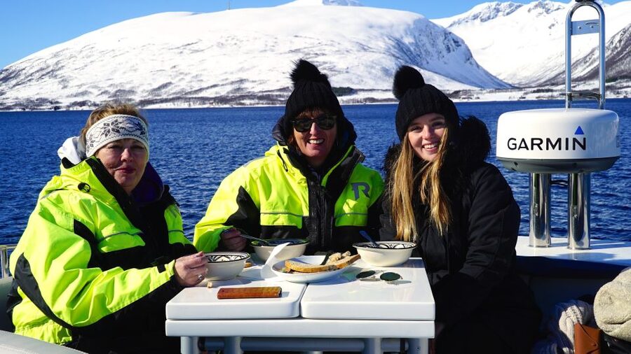 Tromsø: Fjord Cruise by Luxury Yacht - Tromsø Fjords From Arctic Queen, not a crowded tour bus