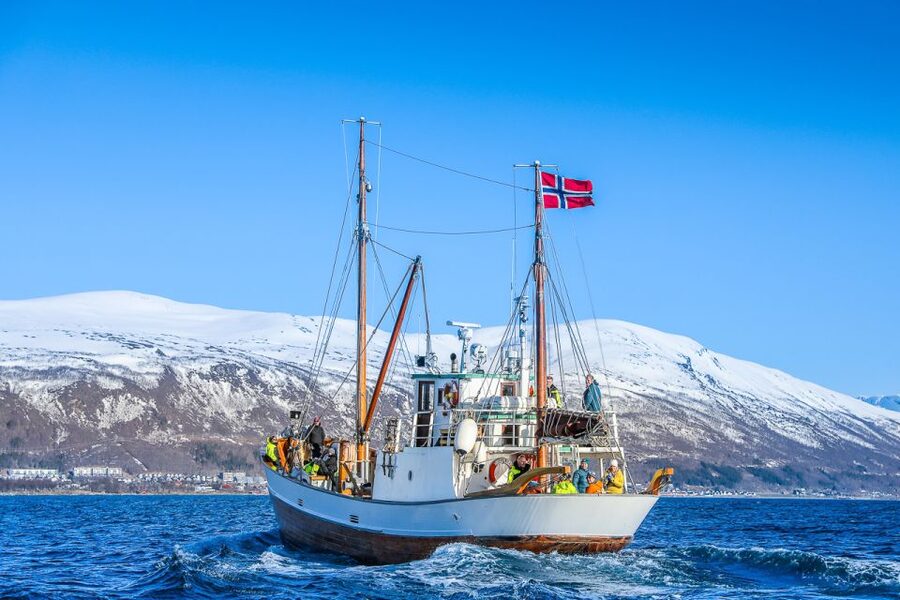 Tromsø: Fjord History Cruise with Snack and Drinks - The Experience Rhythm: Peace, Photo Spots, and Comfort Breaks