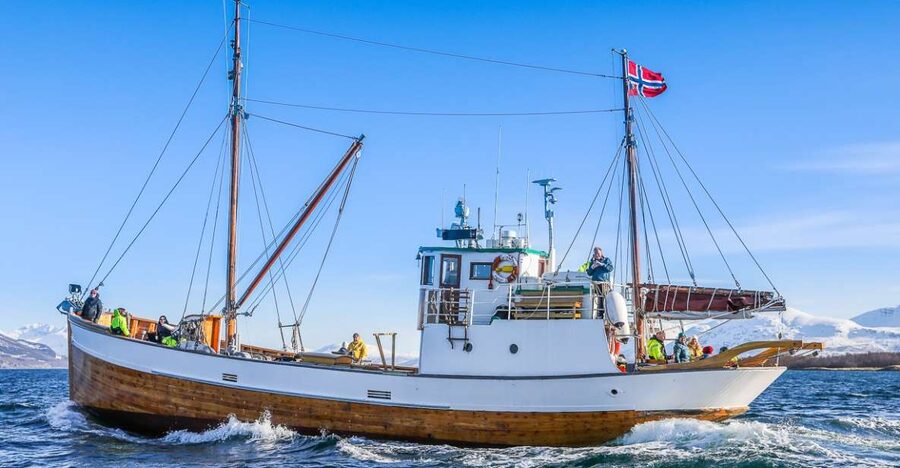 Tromsø: Fjord History Cruise with Snack and Drinks - Tromsø from the Water, Plus the Fjords and Islands Route