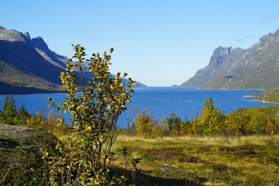 Tromsø: Fjord Sightseeing in a Tesla X Luxury Electric Car - Kaldfjord, Ersfjord, and Grøtfjord: three fjords, one story
