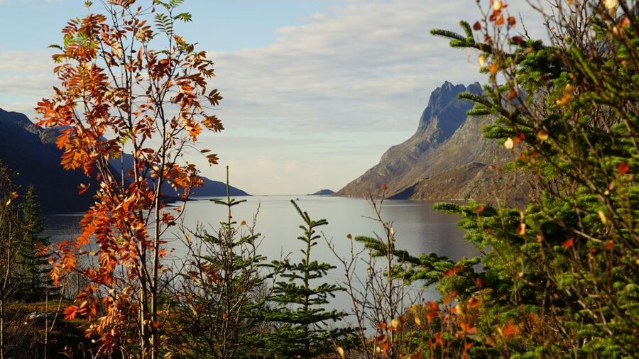 Tromsø: Fjord Sightseeing in a Tesla X Luxury Electric Car - What to pack and wear for Tromsø cold, wind, and quick stops