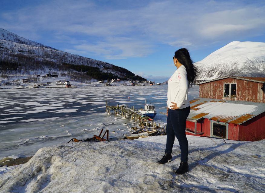 Tromsø: Fjord Sightseeing in a Tesla X Luxury Electric Car - Who should book this fjord sightseeing tour