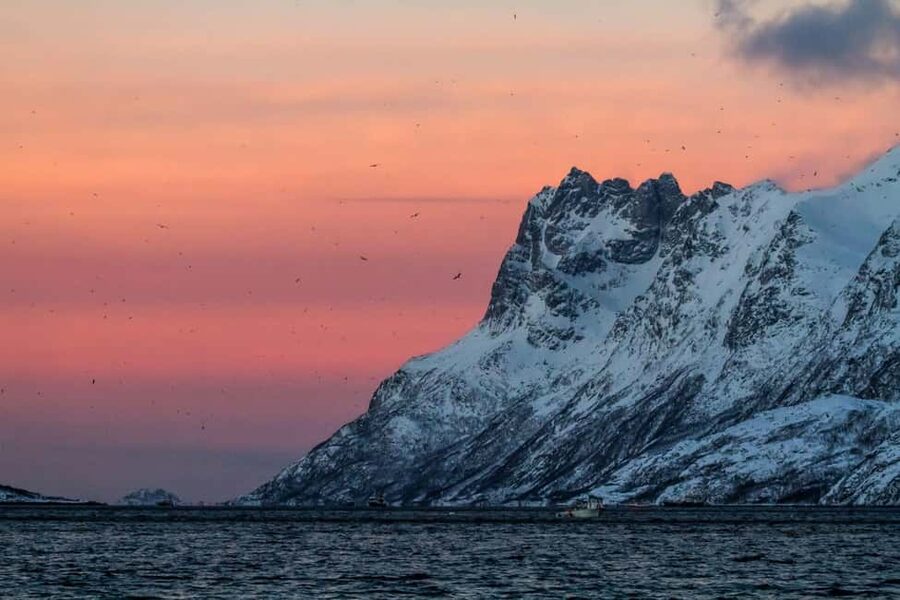 Tromsø: Fjord tour in a minibus to Sommarøy with fishsoup - The story stop: Kattfjordeidet and 9,000 years of coastal life