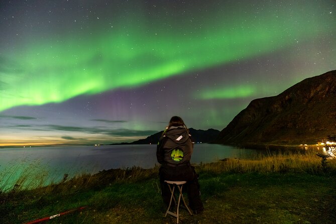 Tromsø Fjordland Aurora Chase Northern Lights by the Arctic Sea - Key things to know before you chase the lights