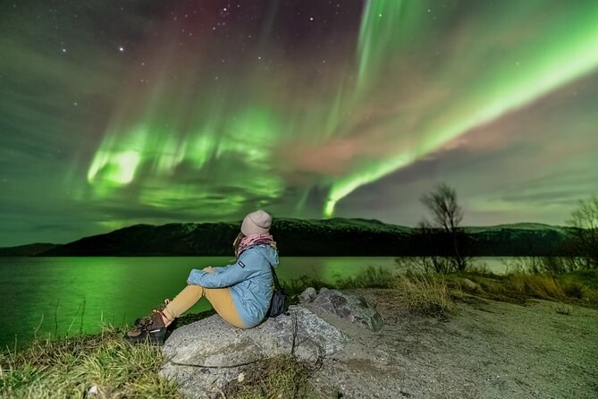 Tromsø Fjordland Aurora Chase Northern Lights by the Arctic Sea - Your guide matters, and the reviews show two key traits