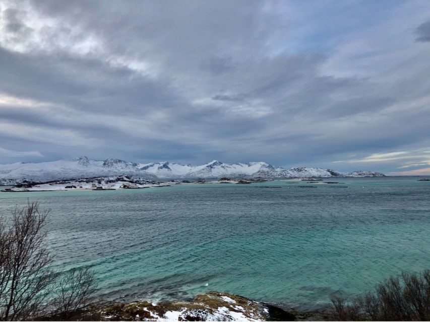 Tromsø: Fjords and Sommarøy Islands Tour with Salmon Picnic - Arctic surprises on the route: animals, weather, and Sami stories