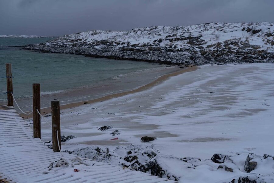 Tromsø: Fjords & Beaches Tour with campfire and Arctic food - Guides and group energy: why Alba, Martin, and Luis keep showing up