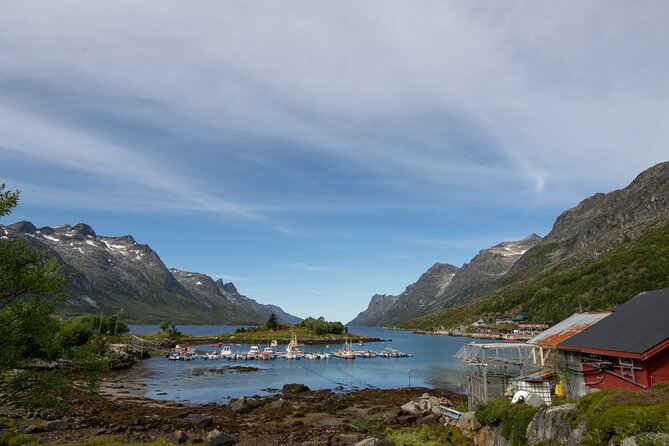Tromso fjords road trip with fire in grill cabin by the beach. - The guide effect: why Andrei’s approach makes this trip better