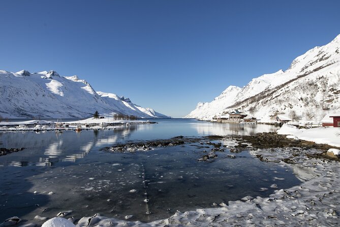Tromso fjords road trip with fire in grill cabin by the beach. - Price and value: what $137.07 includes and what to watch