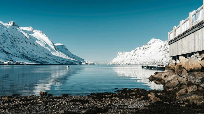 Tromsø: Fjords & Sommarøy Tour with Warm Local Lunch Option - Fjords, White Beaches, and Sommarøy in One Day