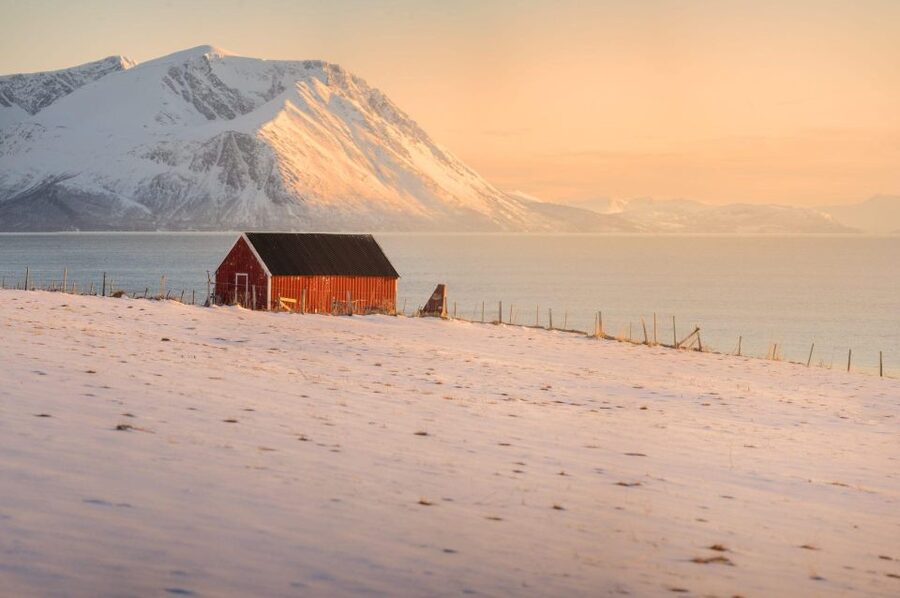 Tromsø: Fjords Tour - Why a Fjord road trip from Tromsø feels different than a boat day