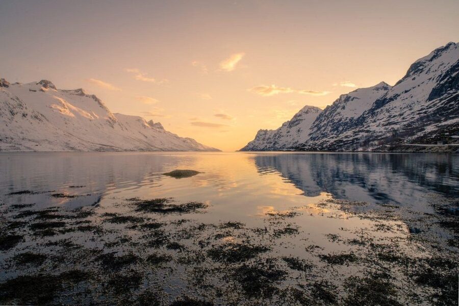 Tromsø: Fjords Tour - Ersfjordbotn 20-minute stop: quick hit views that add up