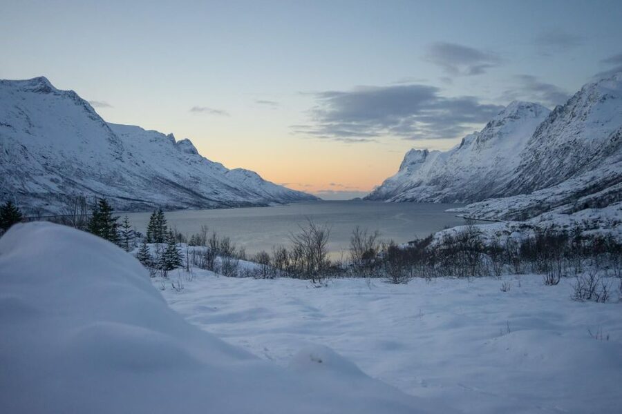 Tromsø: Fjords Tour - Hot chocolate, cookies, and the best kind of break