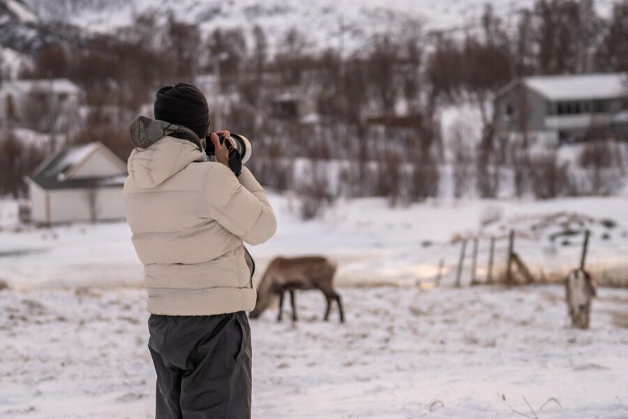 Tromsø: Fjords Tour - Scandic Ishavshotel start: short drive day, big scenery return