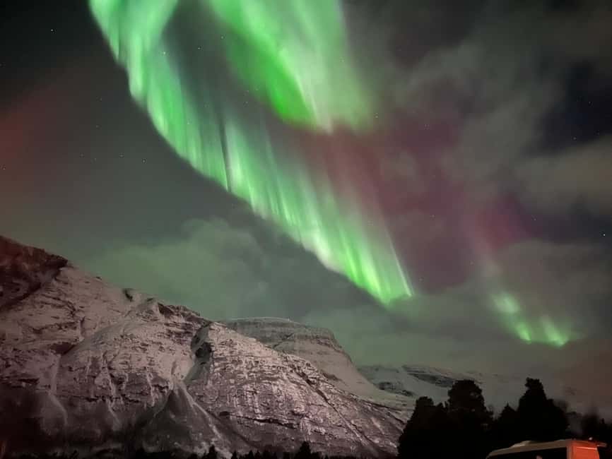 Tromsø: Full Night Magic of the Northern Lights - Minibus comfort, but no toilets, plan your stops