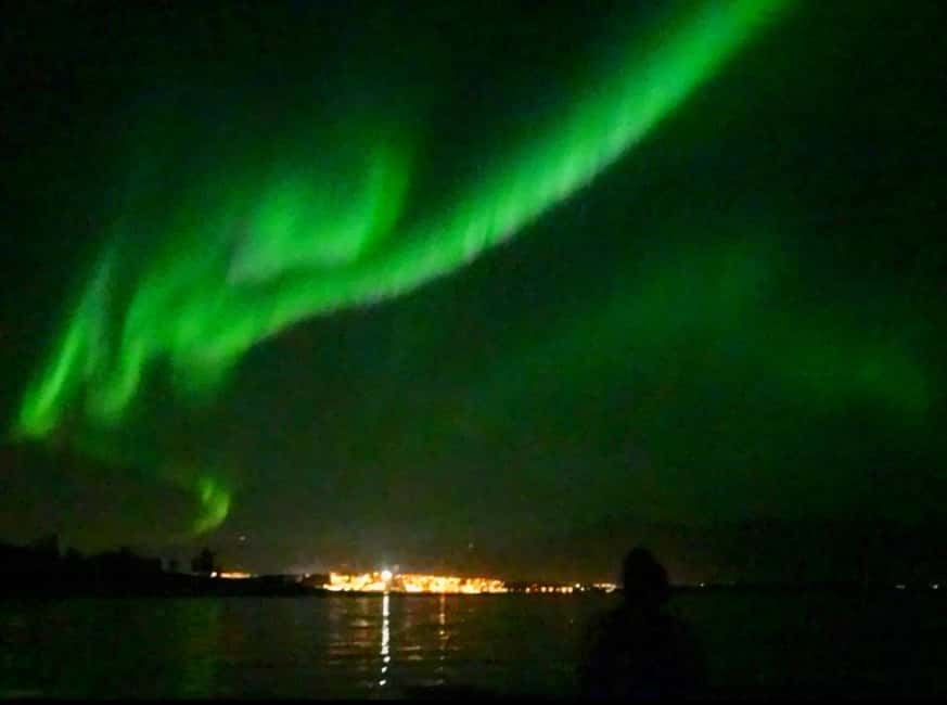 Tromsø: Guided Arctic Nature & Fjord Small Group Tour - Key highlights worth planning around