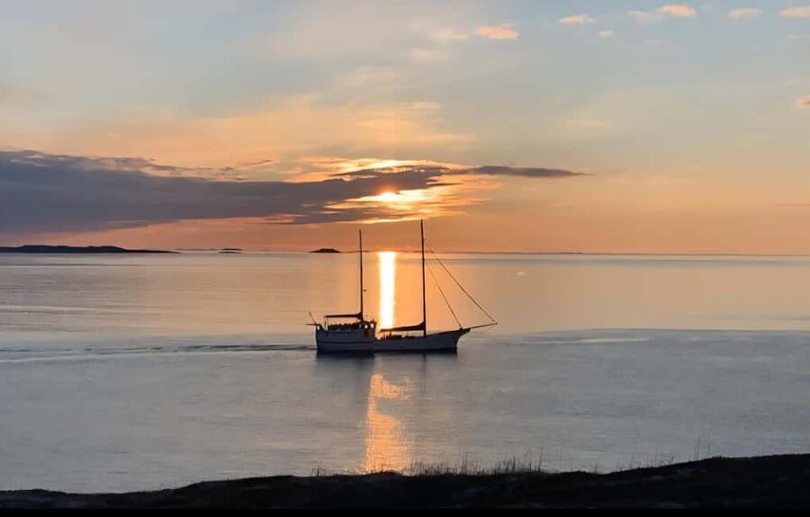 Tromsø: Guided Arctic Nature & Fjord Small Group Tour - Nordfjordbotn onward, where the driving does part of the sightseeing