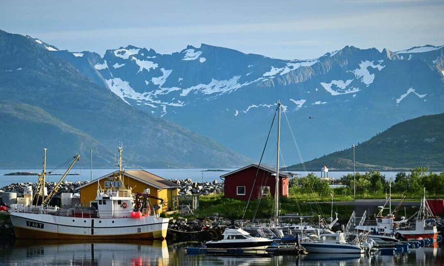 Tromsø: Guided Arctic Nature & Fjord Small Group Tour - Price and logistics: when $200 feels fair