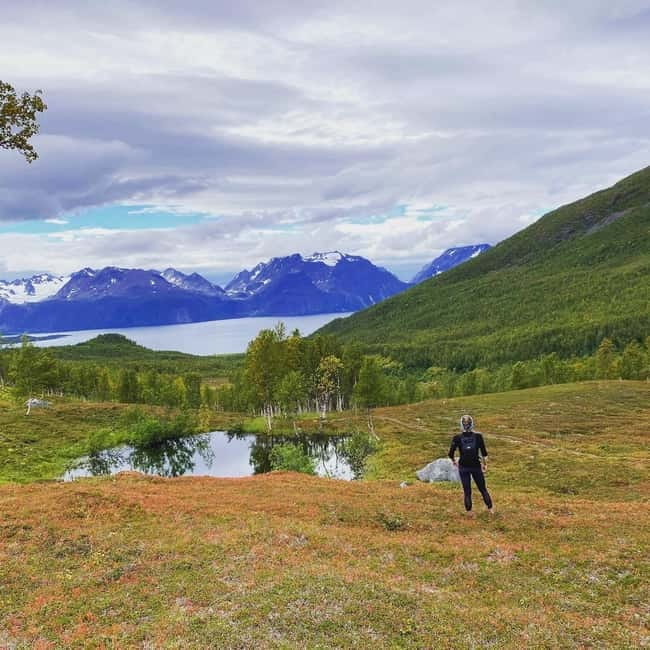 Tromsø: Guided Hiking Tour with Roundtrip Transfers - Key points you will care about