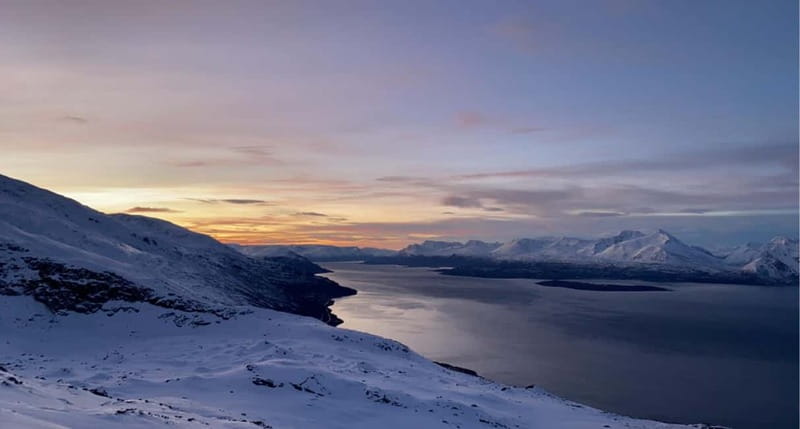 Tromsø: Guided Hiking Tour with Roundtrip Transfers - What the guide adds when you want more than a view