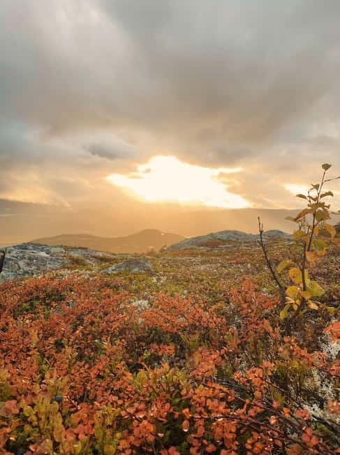 Tromsø: Guided Hiking Tour with Roundtrip Transfers - Gear and weather prep, so your hike feels fun not stressful