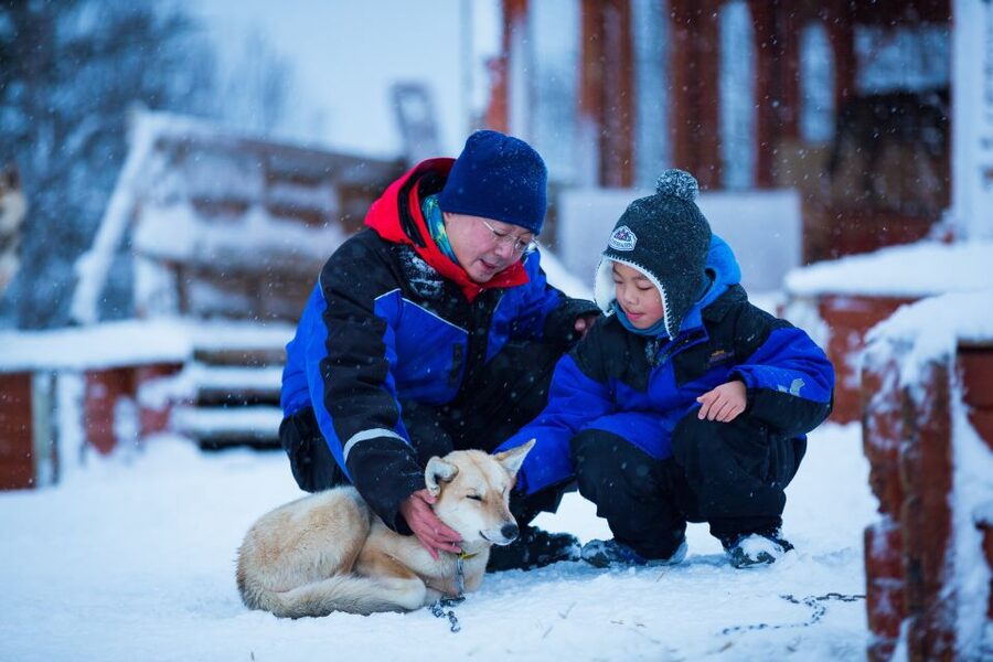 Tromsø: Guided Husky Sledding with Traditional Lunch - What you are really paying for at $282